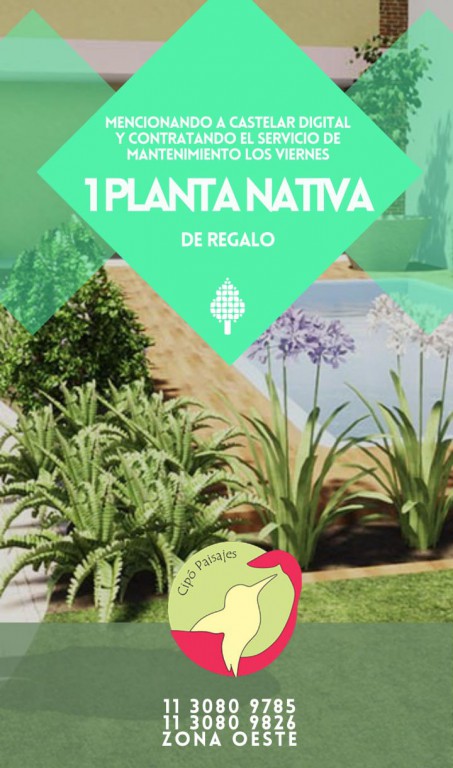 Cipó Paisajes - Paisajismo