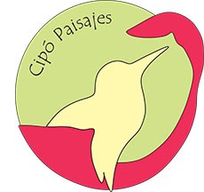 Cipó Paisajes