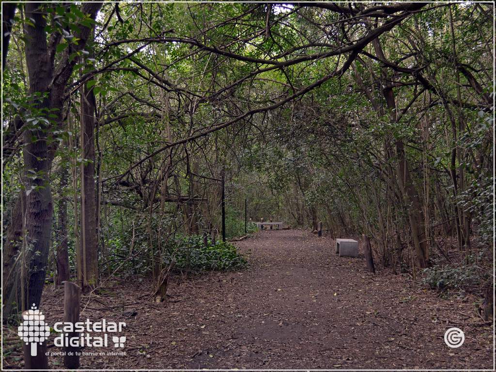 Reserva Natural Urbana ubicada en las calles Prudan y Arena, en Castelar sur