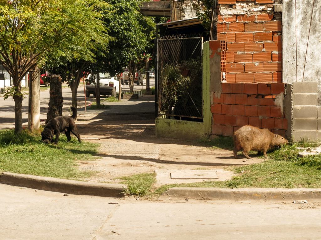 Foto de Maximiliano Ulises