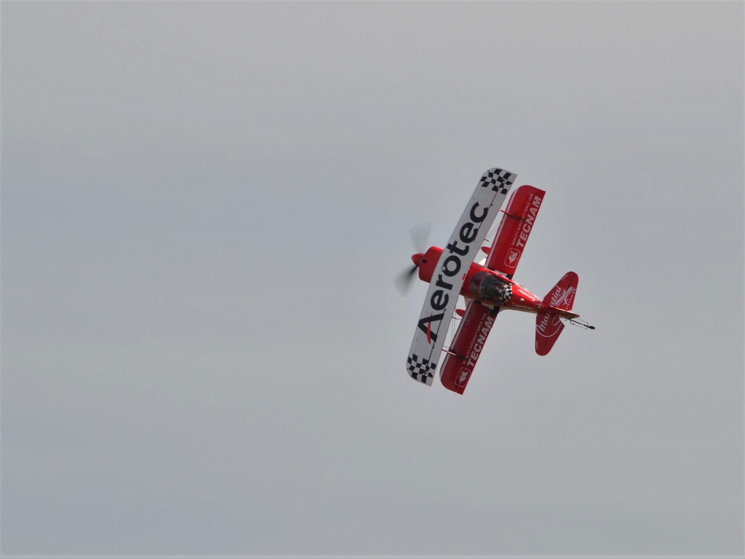 Pitts S1.