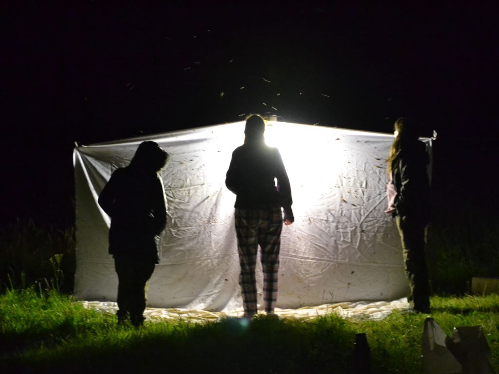 Trampa de luz en la Laguna Fantasma.