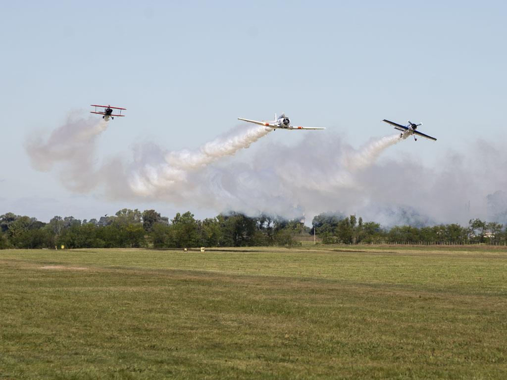 Pitts, Texan y Sukhoi humeando en la EAA. 