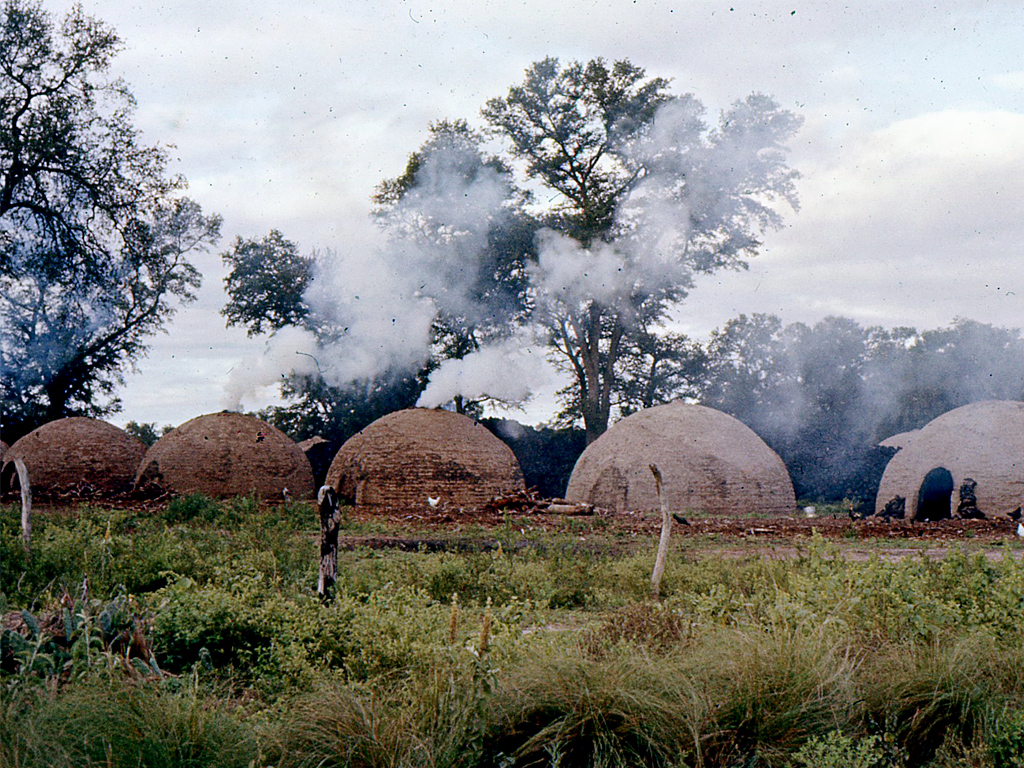 Desmonte. Quebrachos colorados. Hornos de carbón. Santiago del Estero.