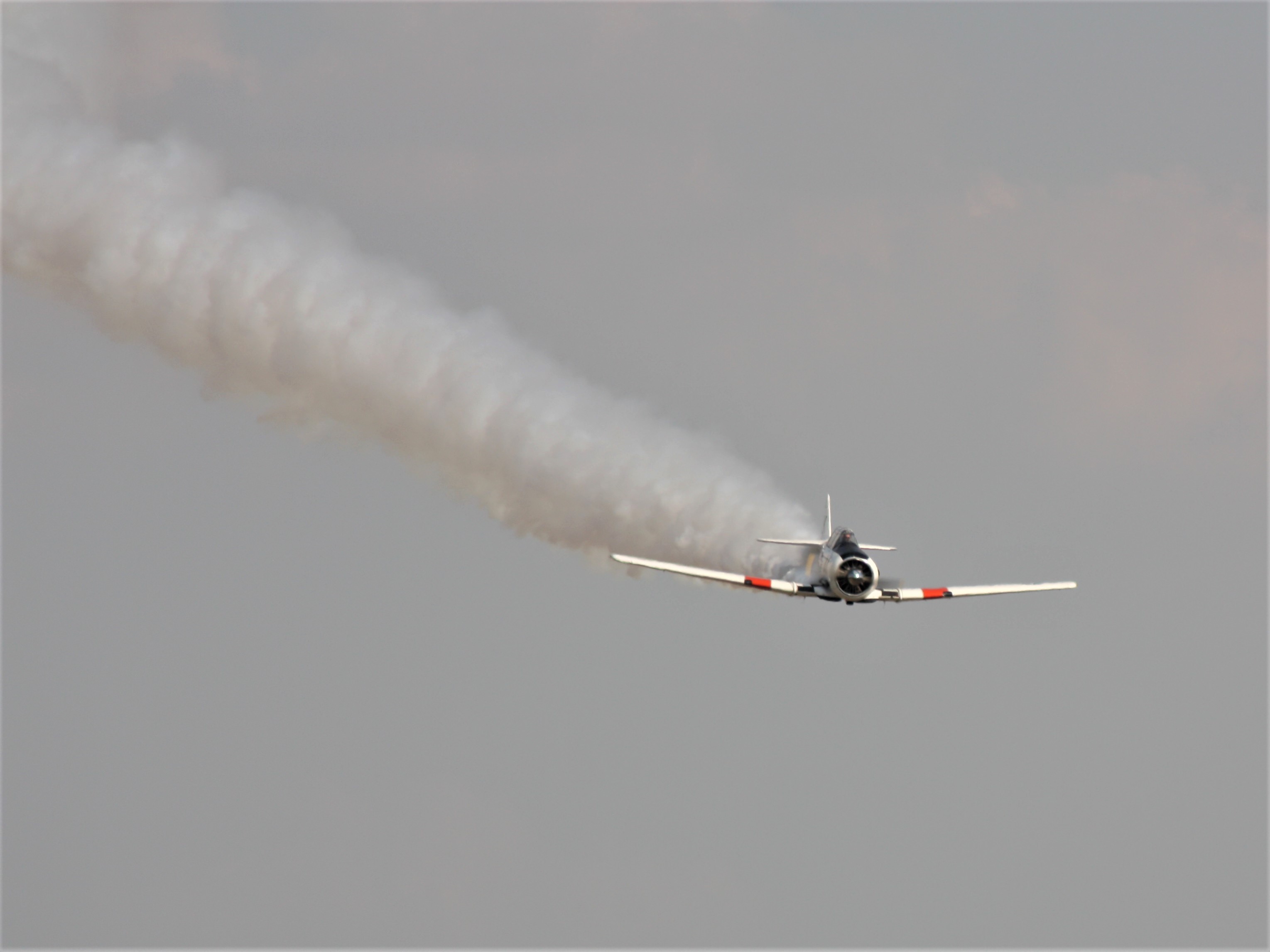 T-6 Texan. Foto: Damián González 