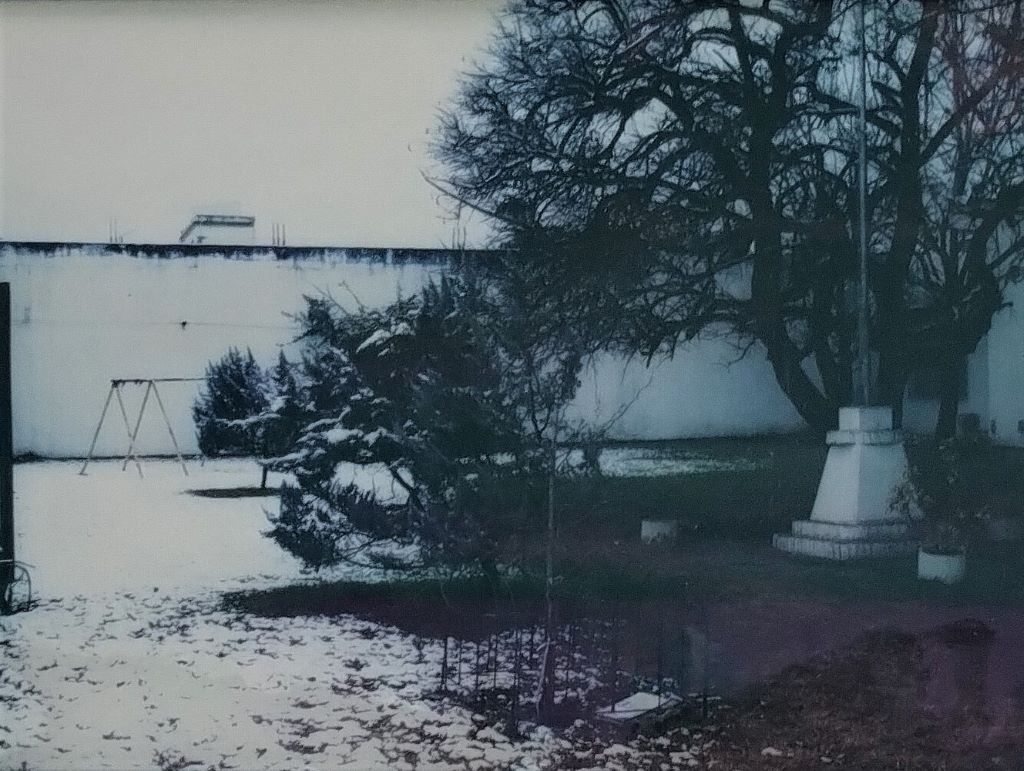 Postales del jardín con nieve. En la histórica nevada del 9 de julio de 2007.