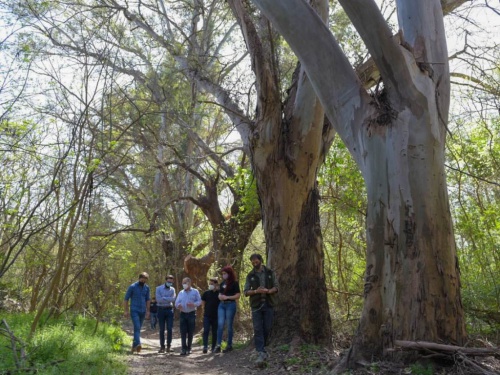 Ituzaingó invertirá en la Reserva Natural Río Reconquista