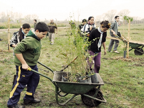 Vecinos plantaron árboles en la reserva