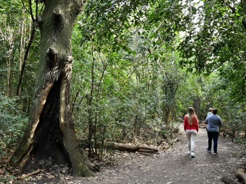 Reservas naturales de Mor&oacute;n: Conoc&eacute; los pulmones verdes de la Zona Oeste