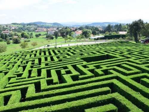 Laberinto, por Silvia Frank