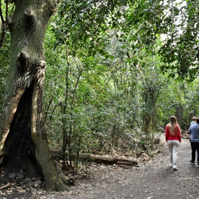 Reservas naturales de Mor&oacute;n: Conoc&eacute; los pulmones verdes de la Zona Oeste