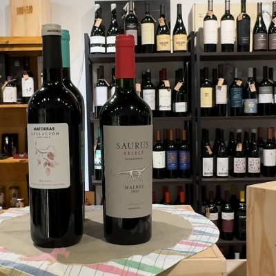 La Noche de las Vinotecas celebr&oacute; el D&iacute;a del Malbec con degustaciones en Castelar e Ituzaing&oacute;