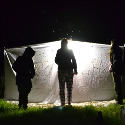 Trampa de luz en la Laguna Fantasma.