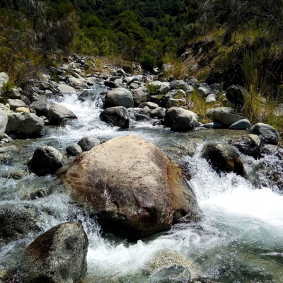 Un río tributario del lago Guillelmo. Frío y cristalino. 