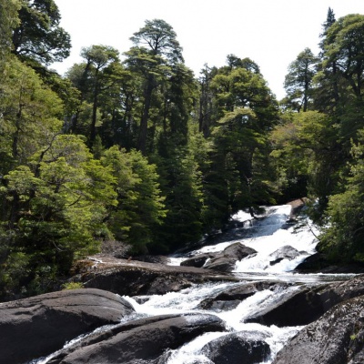Cascada de los Cántaros, Puerto Blest. 