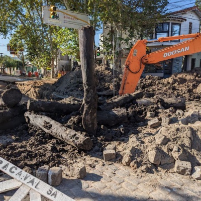  Encontraron un antiguo puente de troncos debajo de una calle en Haedo