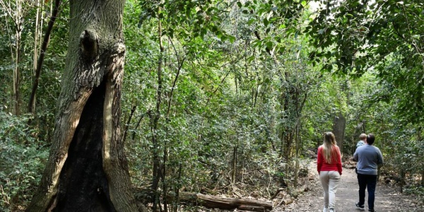 Reservas naturales de Mor&oacute;n: Conoc&eacute; los pulmones verdes de la Zona Oeste