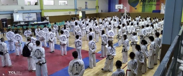 Taekwon-Do ITF UNION