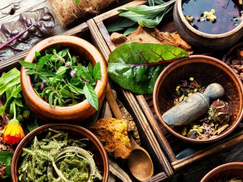 Sesiones de Naturopat&iacute;a